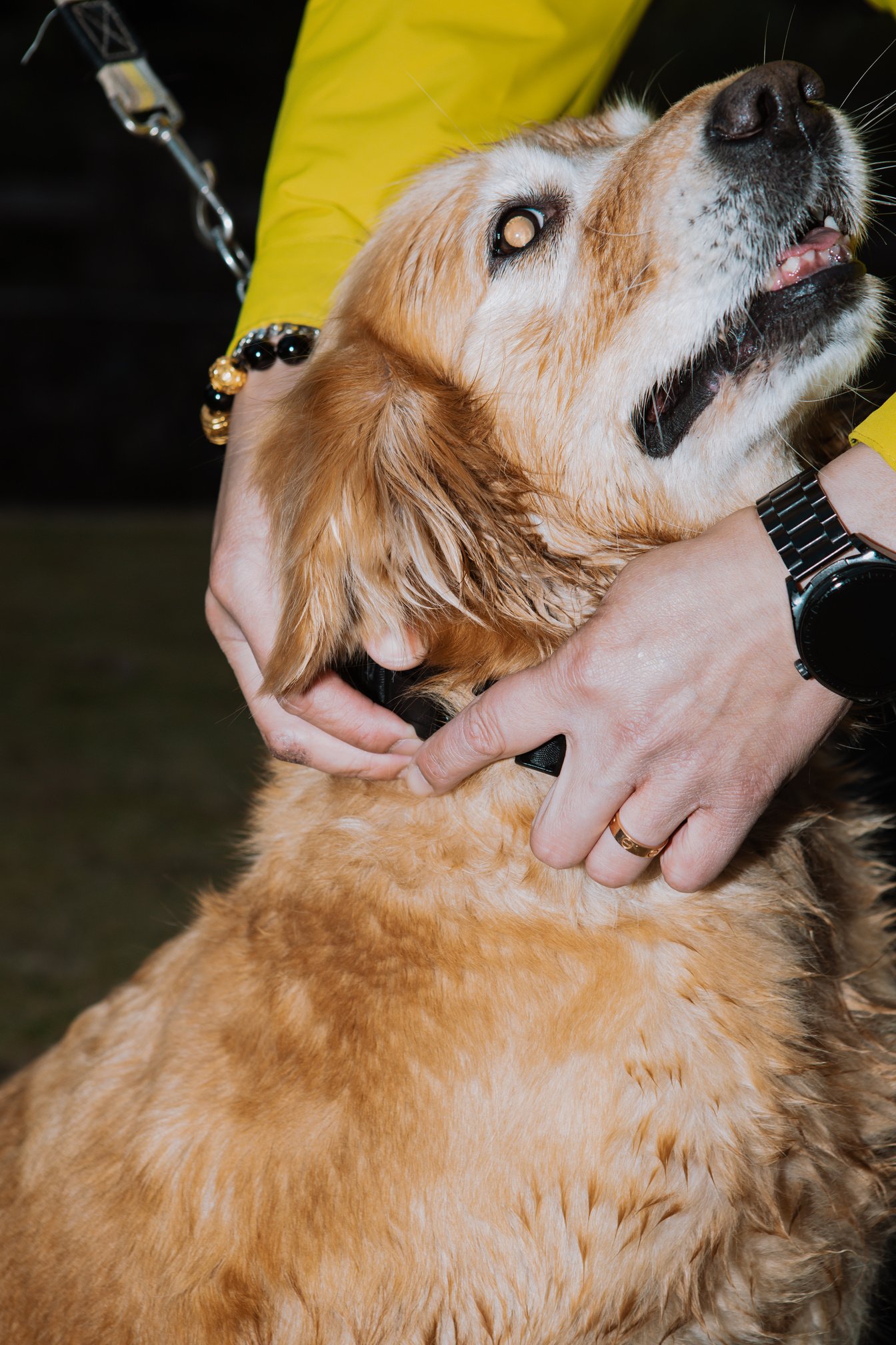 CANINRUN catalogue product image 05