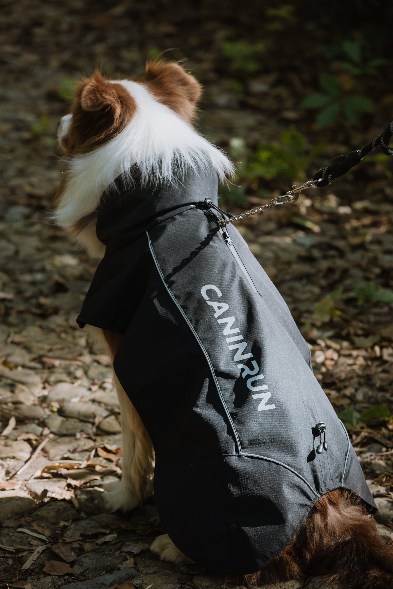 CANINRUN catalogue product image 01